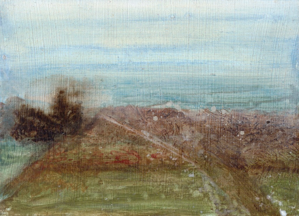 Misty Day, Worcester Fields © 2012 Eleanore Ditchburn, 13 x 18 cm Acrylic on Panel