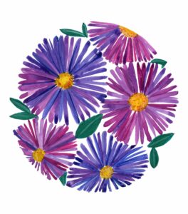 ED21002_00 Aster