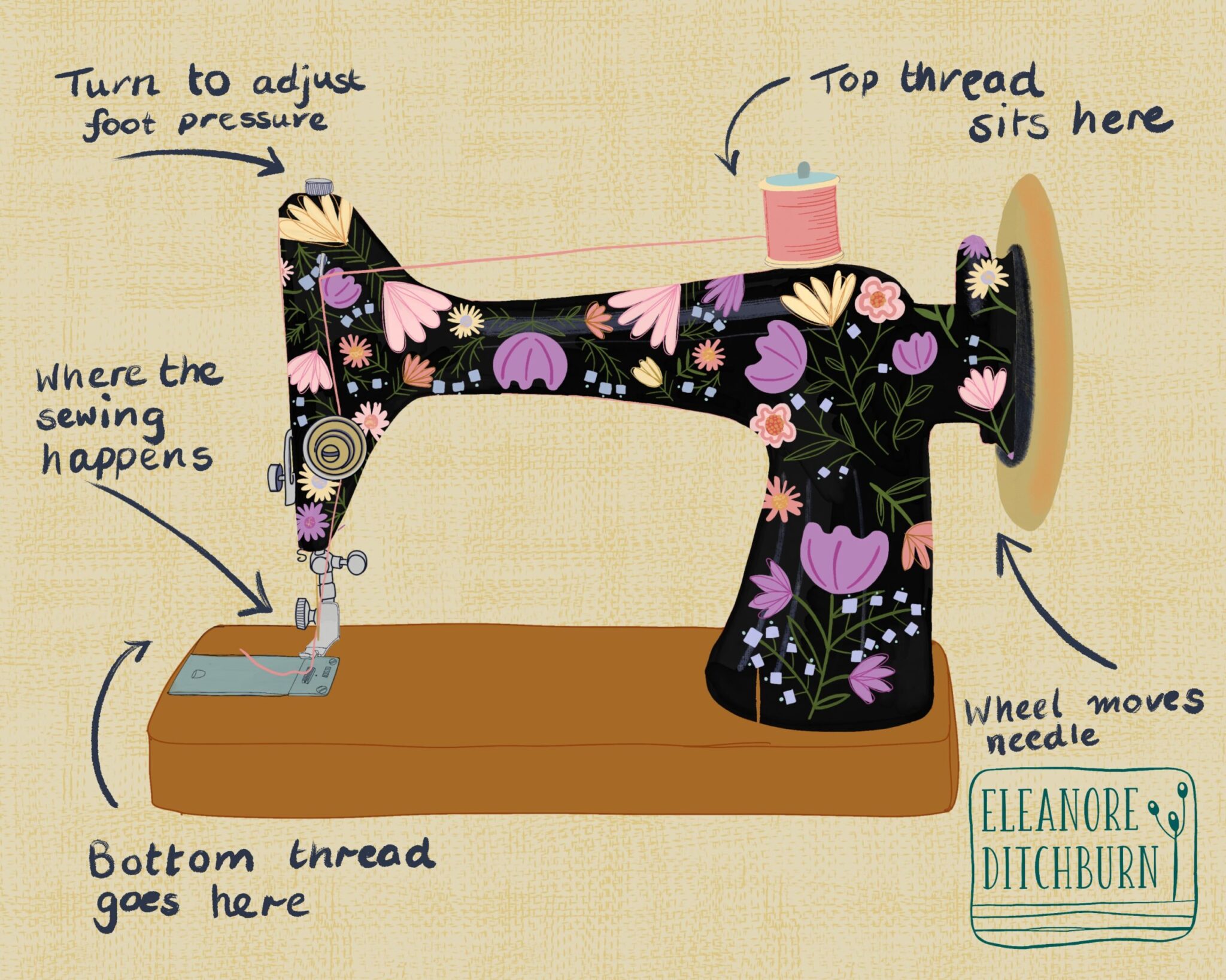 Eleanore Ditchburn - How to Use a Sewing Machine